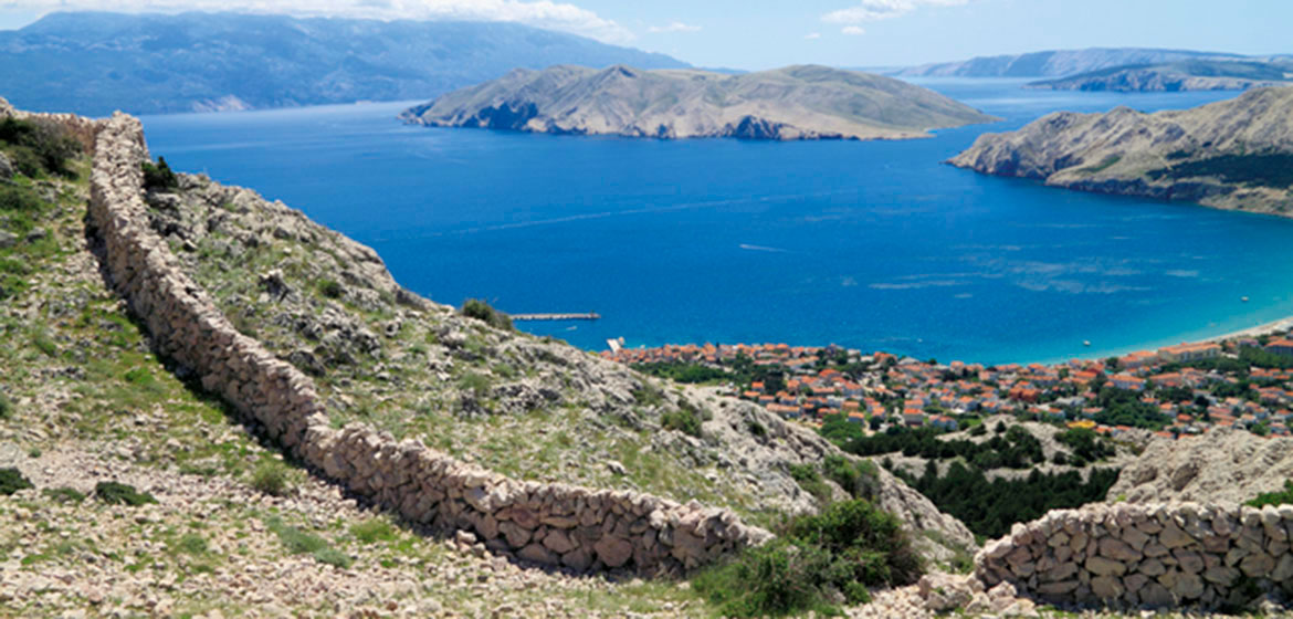 lorem ipsum dolor sit